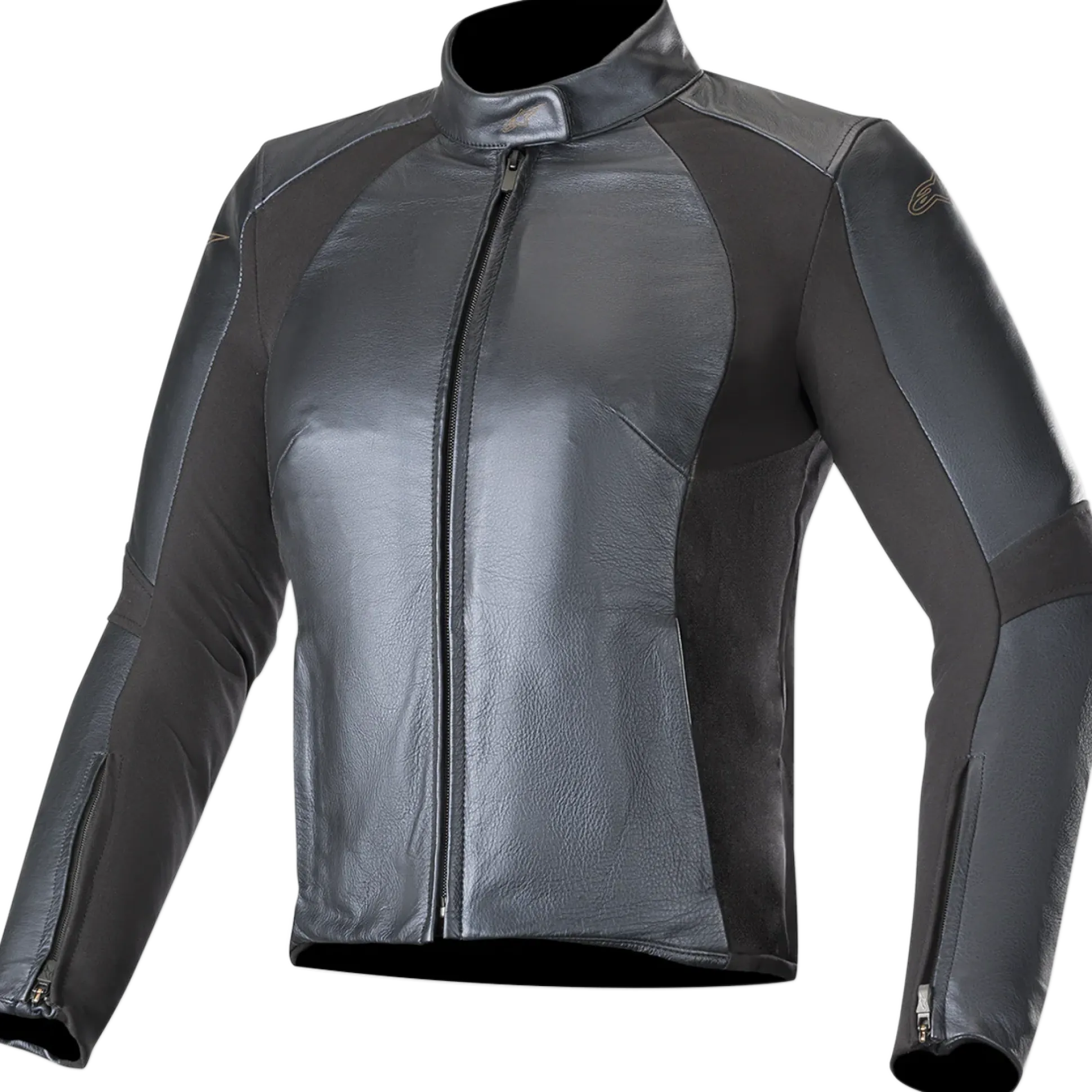 Veste En Cuir Stella Vika V2